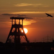 Das Grün ist Teil der Stadtfarben