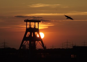 Das Grün ist Teil der Stadtfarben von Gelsenkirchen